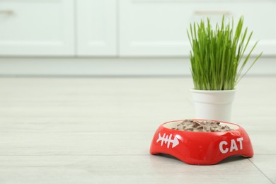 Photo of Bowl of wet pet food and green grass on floor, space for text