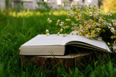 Photo of Open book and chamomiles on wooden stump outdoors, closeup