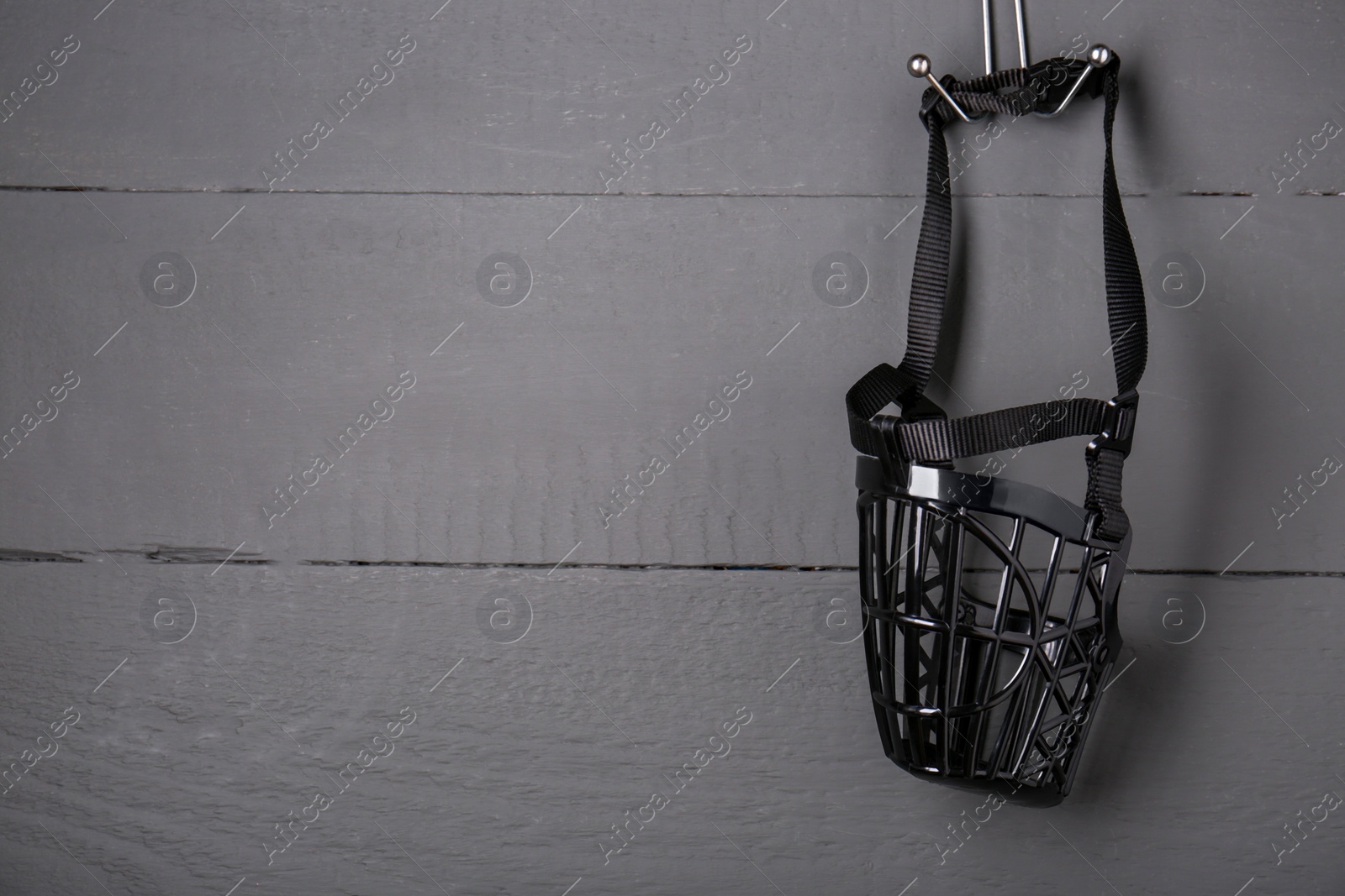 Photo of Black plastic dog muzzle hanging on gray wooden wall, space for text