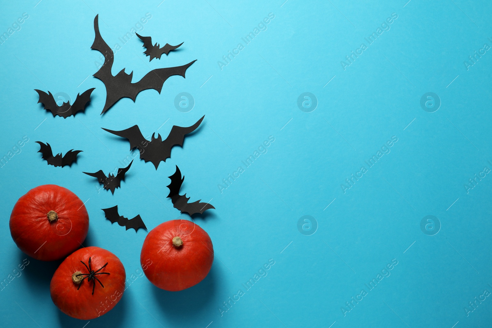 Photo of Flat lay composition with pumpkins, paper bats and spider on light blue background, space for text. Halloween celebration