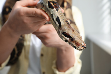 Photo of Woman with her boa constrictor at home, closeup. Exotic pet