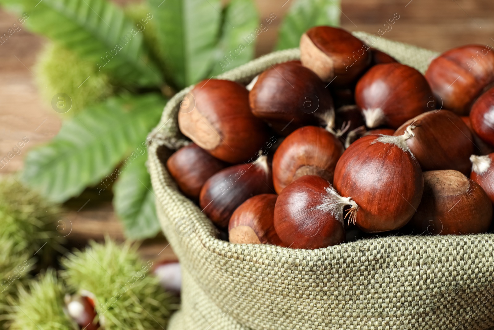 Photo of Fresh sweet edible chestnuts in sack, closeup