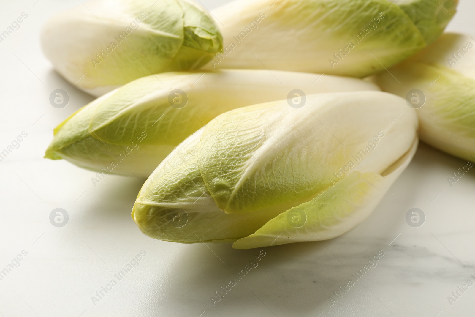 Photo of Raw ripe chicories on white marble table, closeup