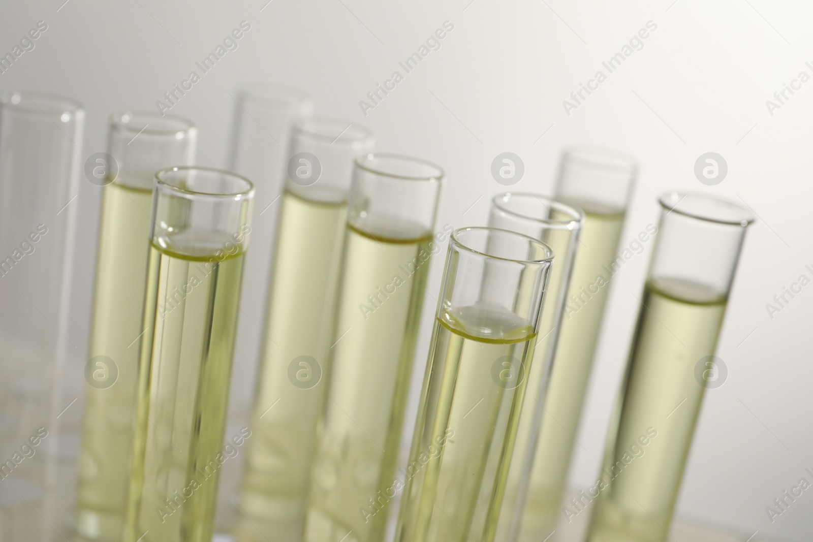 Photo of Test tubes with urine samples for analysis on light grey background, closeup