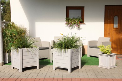 Photo of Big wooden pots with beautiful plants near stylish armchairs on terrace