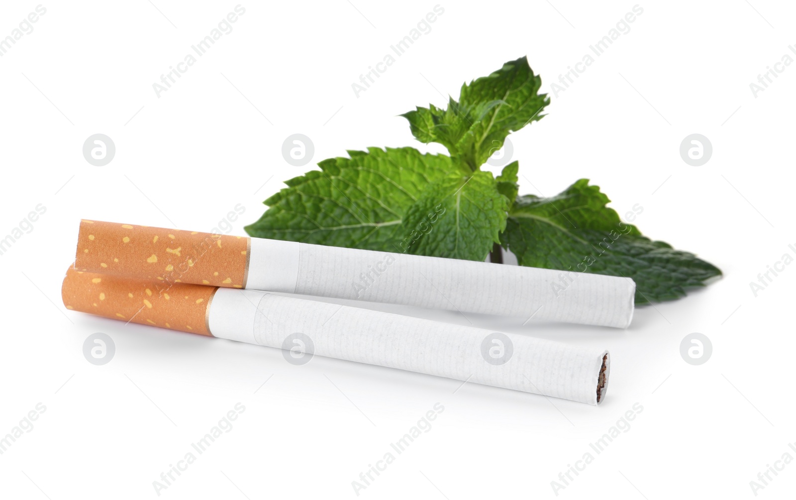 Photo of Menthol cigarettes and fresh mint leaves on white background