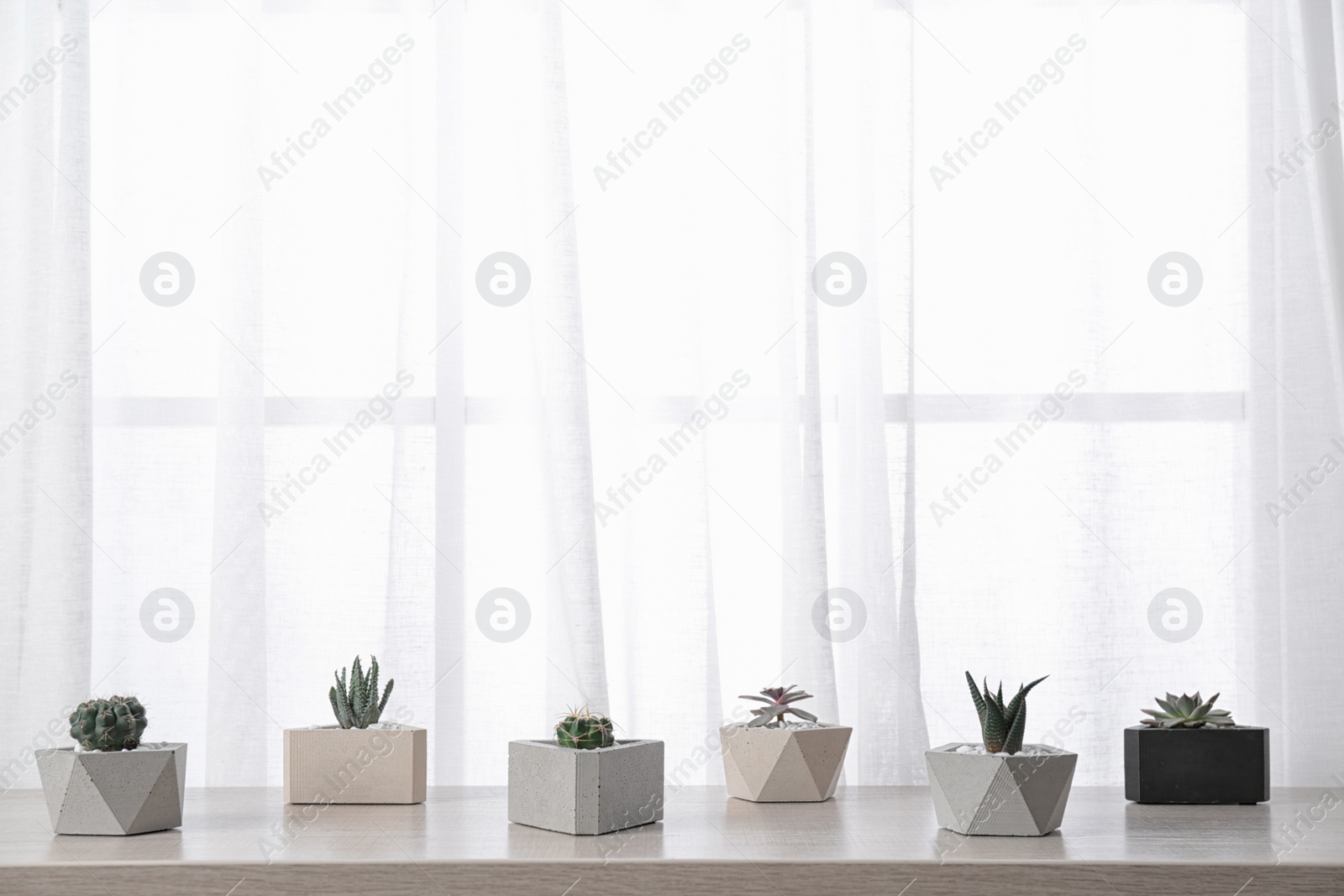 Photo of Composition with different houseplants in pots on window sill, space for text