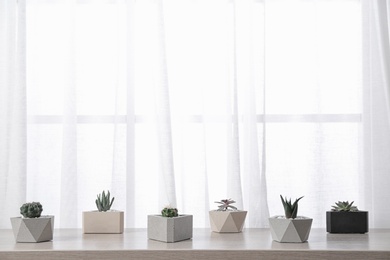 Composition with different houseplants in pots on window sill, space for text