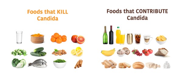 Image of List of foods that kill and contribute Candida on white background. Banner design