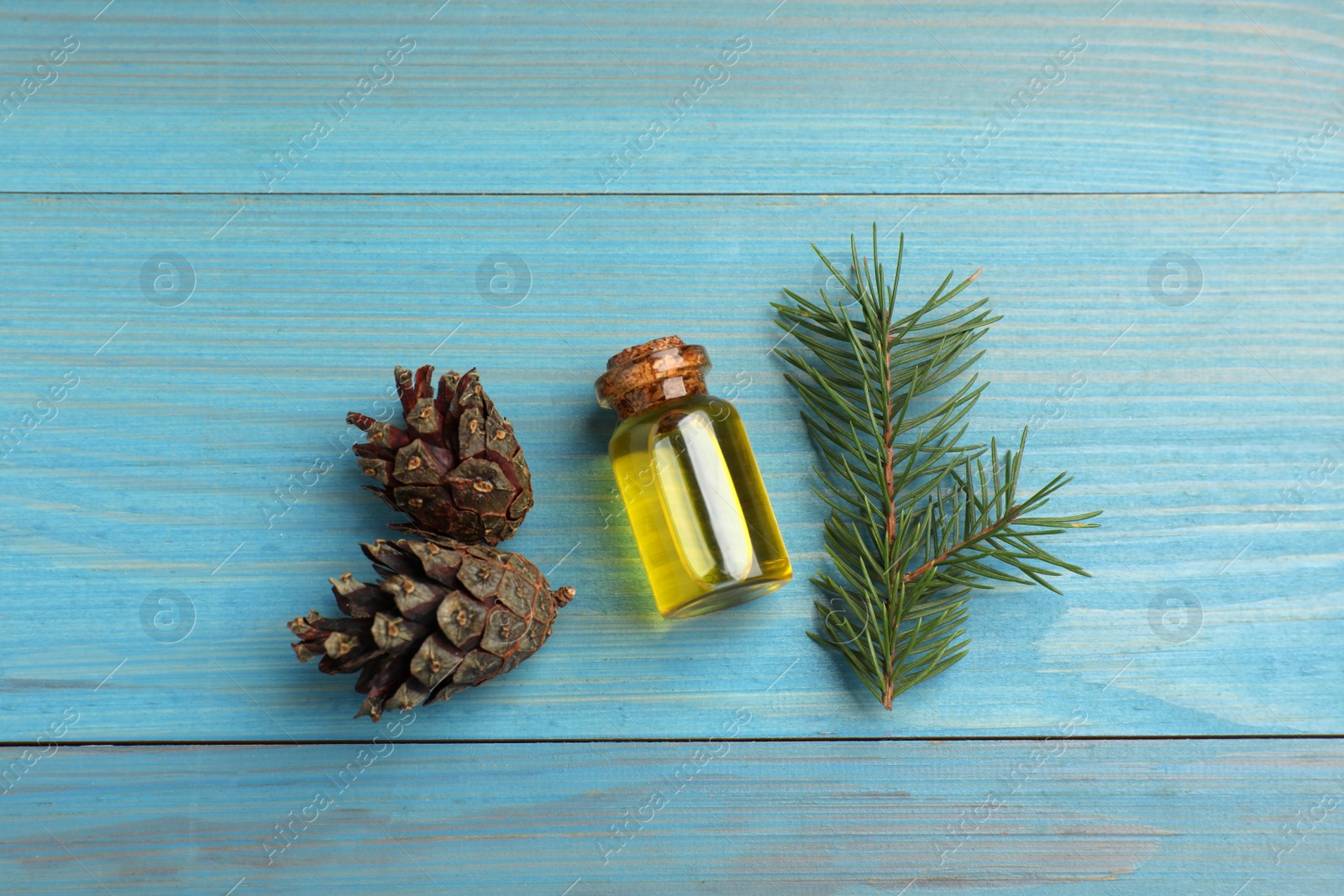 Photo of Pine essential oil, cones and branch on light blue wooden table, flat lay