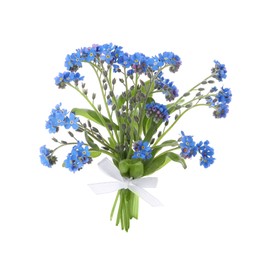 Bouquet of beautiful blue Forget-me-not flowers on white background