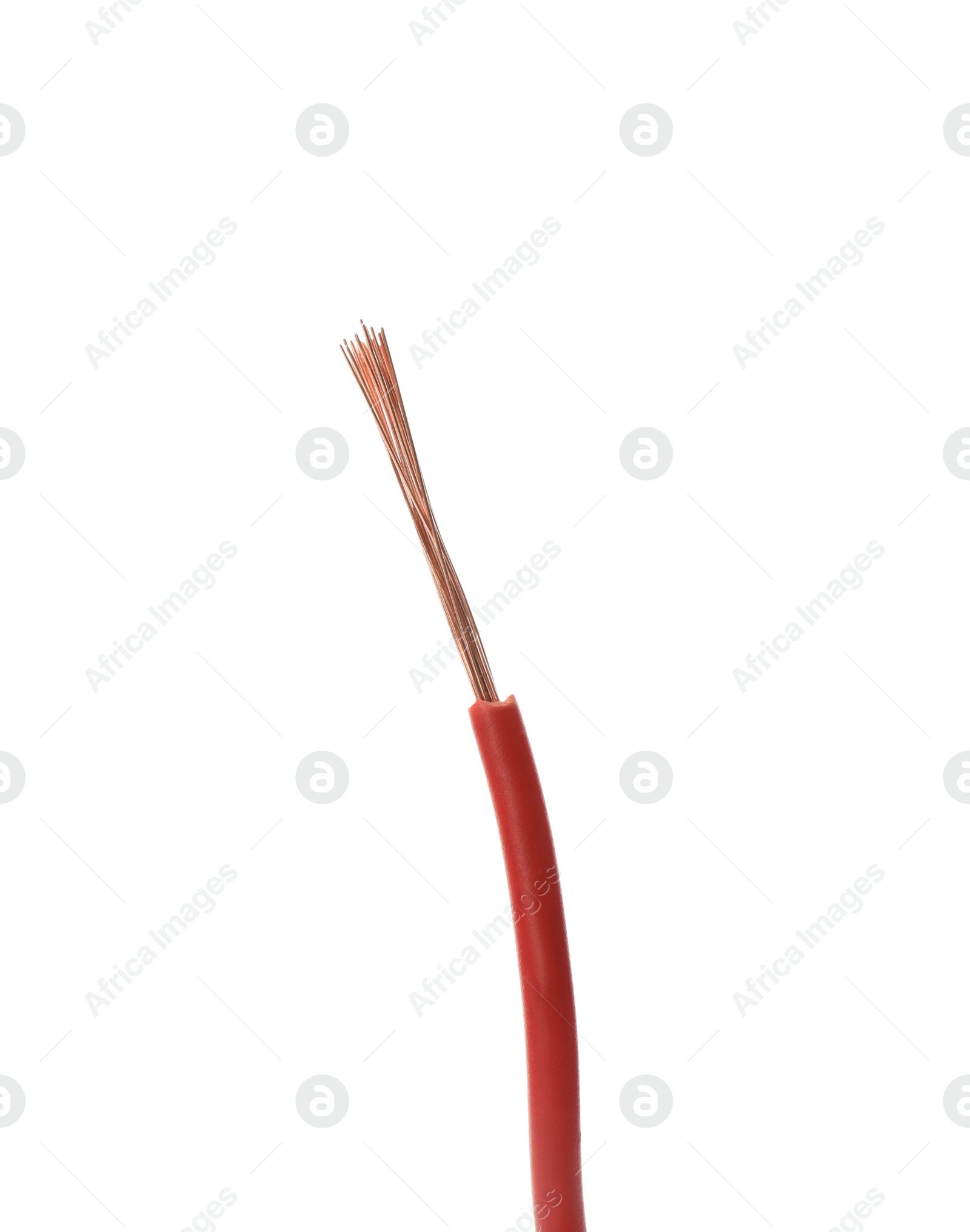 Photo of Stripped electrical wire with red insulation isolated on white