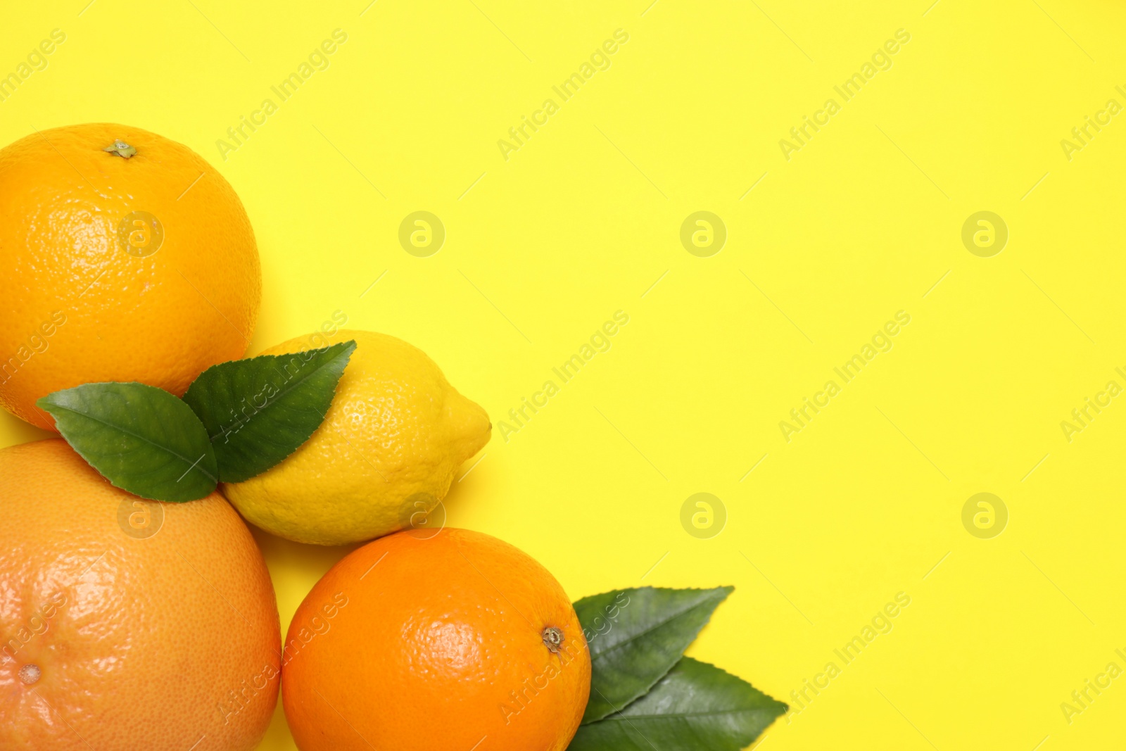 Photo of Different citrus fruits on yellow background, flat lay. Space for text