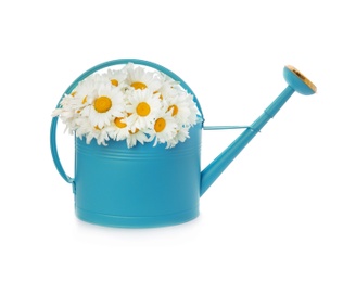 Photo of Watering can with beautiful chamomile flowers on white background