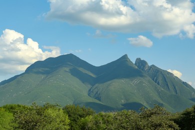 Picturesque landscape with trees and high mountains under blue sky