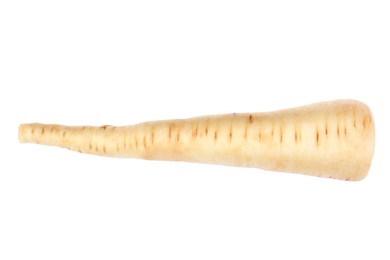 Photo of Tasty fresh ripe parsnip isolated on white, top view