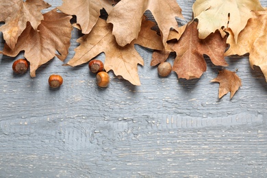 Photo of Flat lay composition with autumn leaves on grey wooden background. Space for text