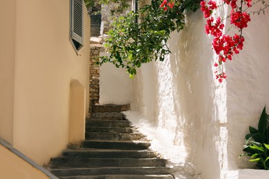 Stone stairs between buildings on sunny day