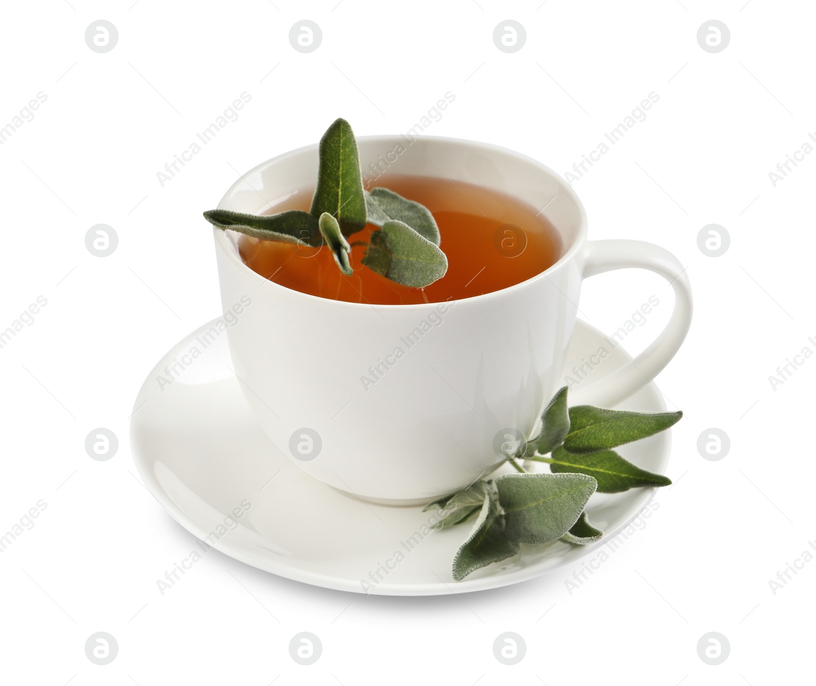 Photo of Cup of aromatic sage tea and fresh leaves isolated on white