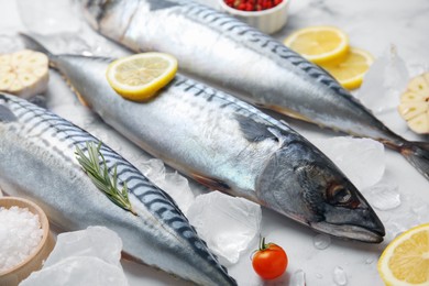 Tasty raw mackerel and ingredients on white marble table, closeup