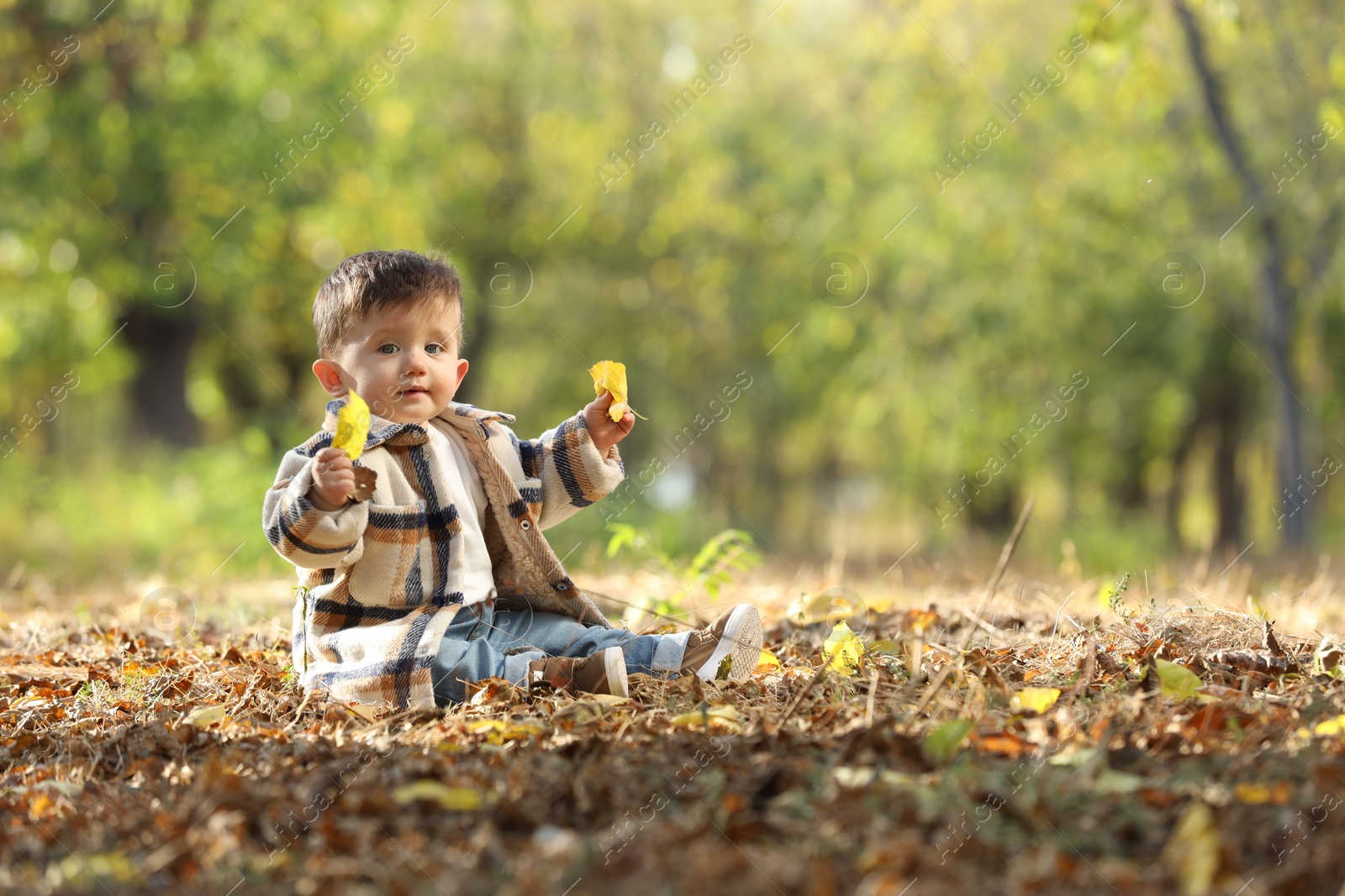 Photo of Cute little child on ground with dry leaves in autumn park, space for text