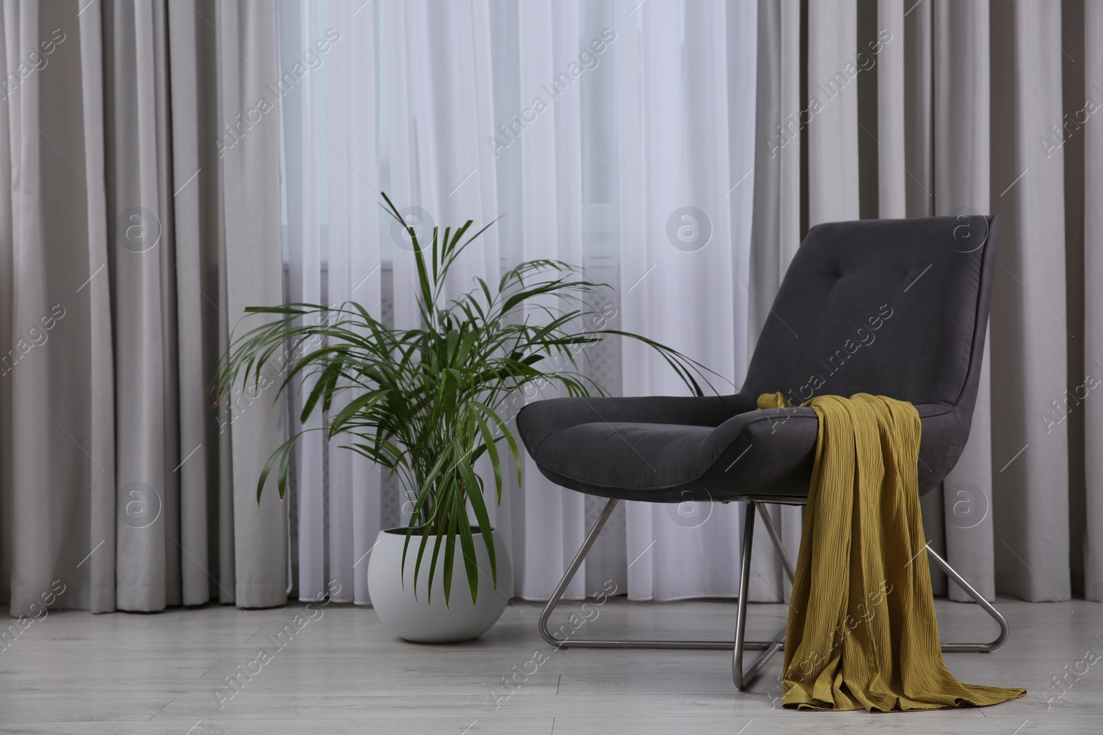 Photo of Comfortable armchair and plant near window indoors. Interior design