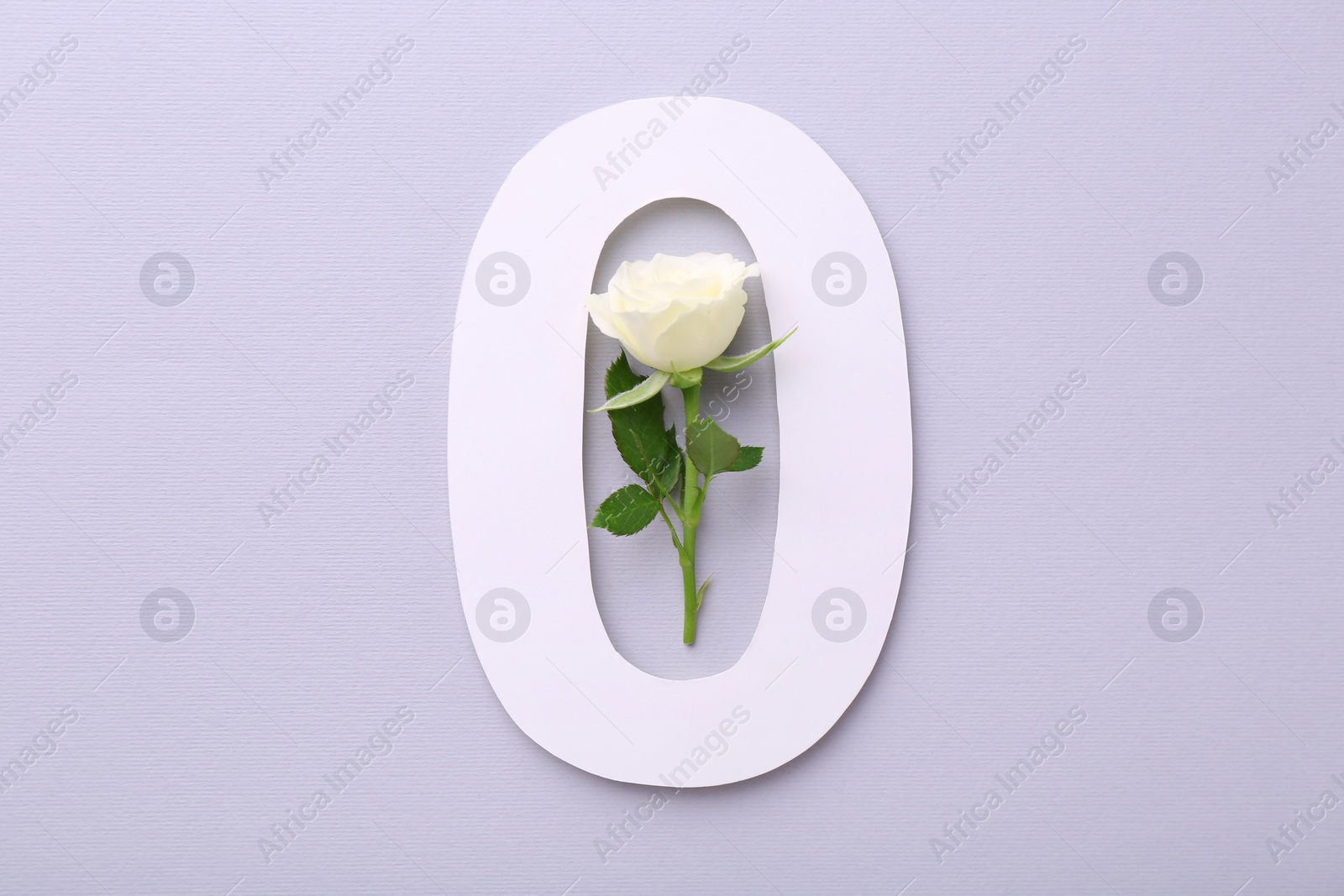 Photo of Paper number 0 and beautiful rose flower on light grey background, top view