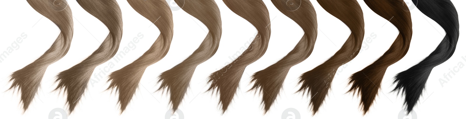 Image of Strands of different beautiful hair on white background, top view. Banner design