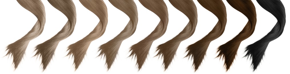 Image of Strands of different beautiful hair on white background, top view. Banner design