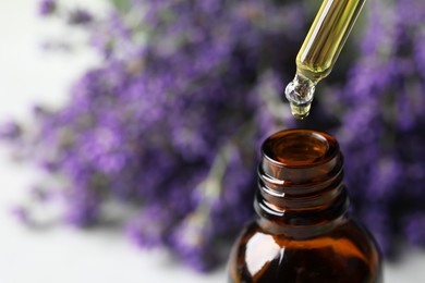 Dripping lavender essential oil from pipette into bottle against blurred background, closeup. Space for text