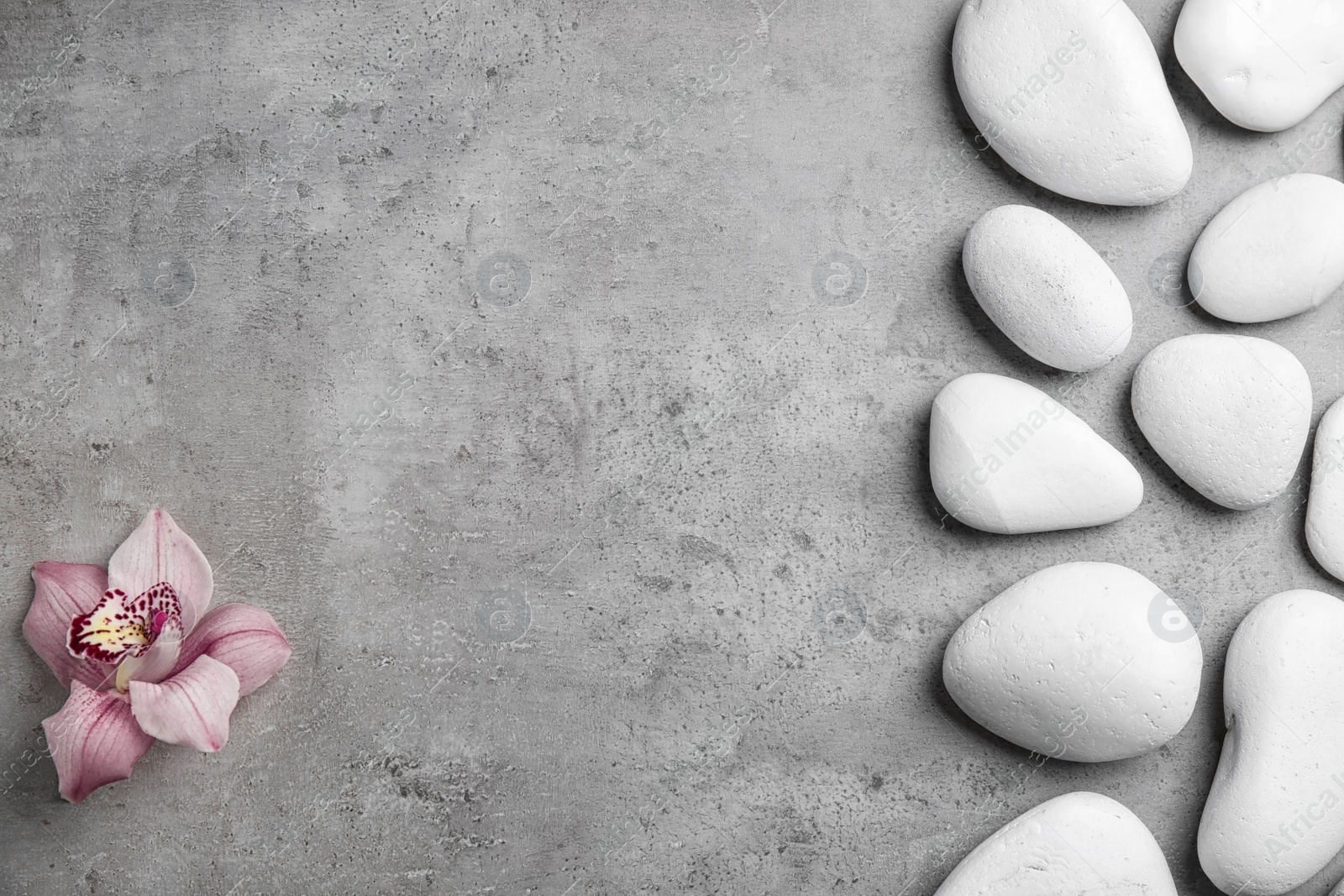 Photo of Zen stones and exotic flower on grey background, top view with space for text