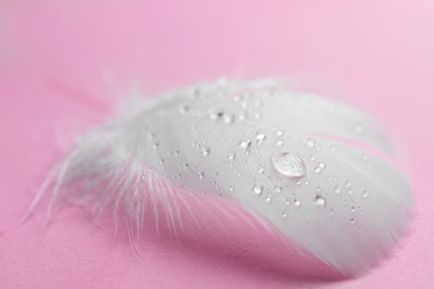 Fluffy feather with water drops on pink background, closeup