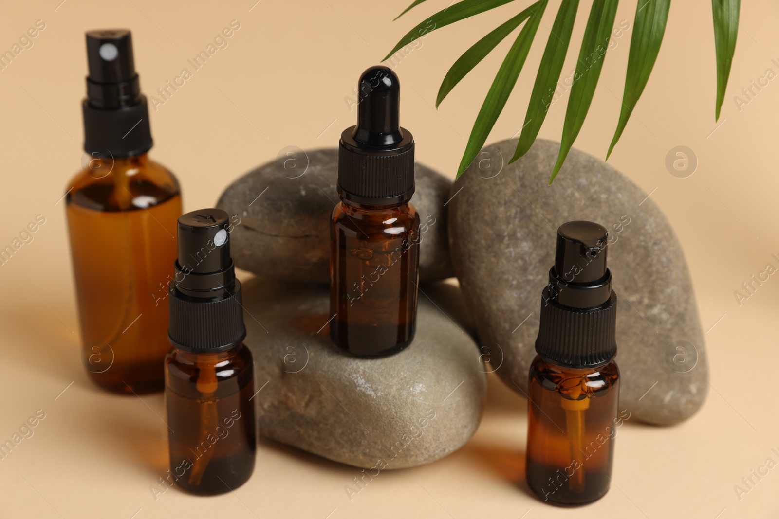 Photo of Bottles of organic cosmetic products, green leaf and stones on beige background