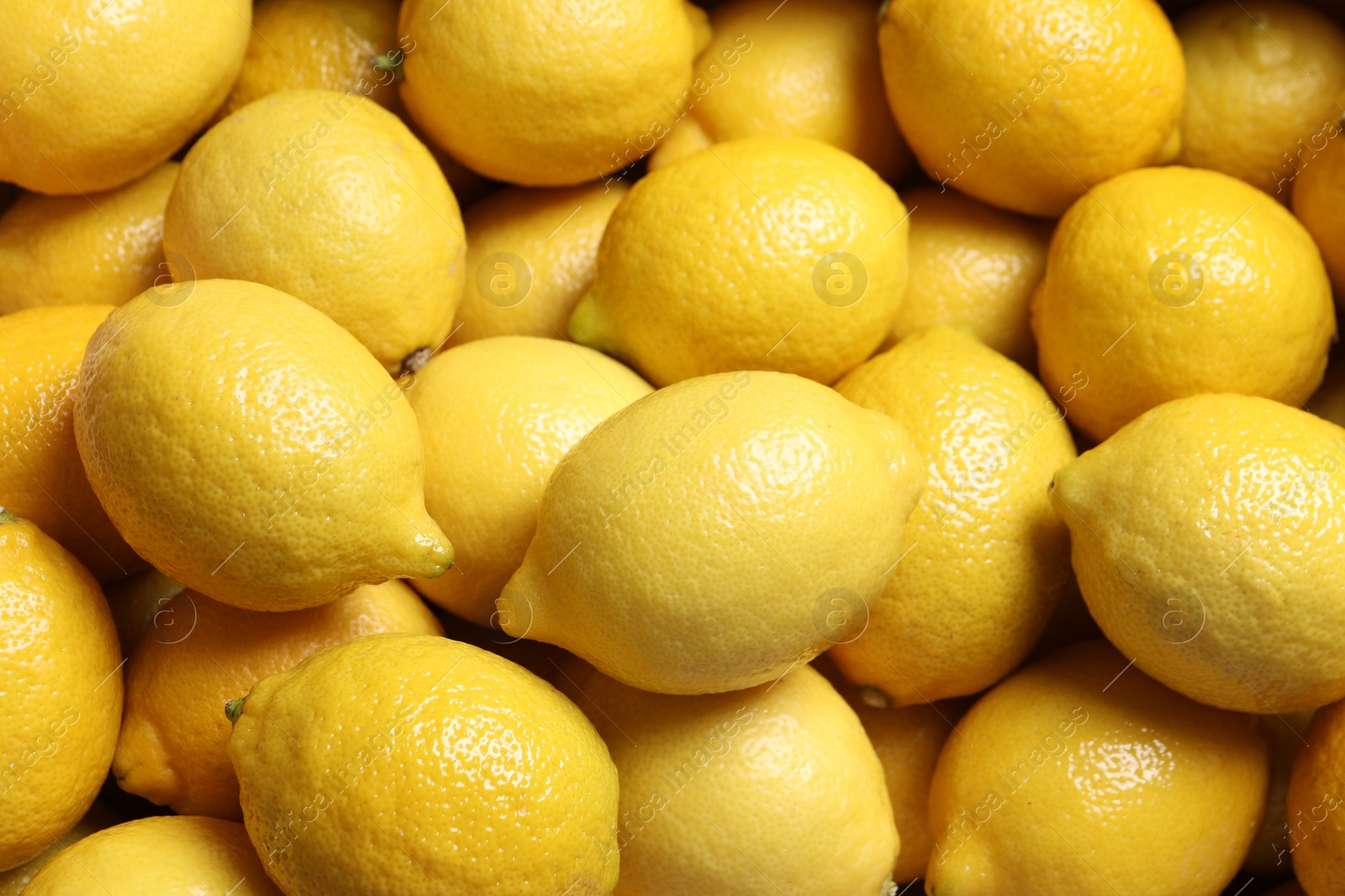 Photo of Fresh lemons as background, closeup. Citrus fruit