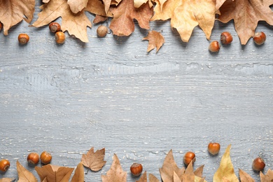 Photo of Frame made of autumn leaves on grey background. Space for text