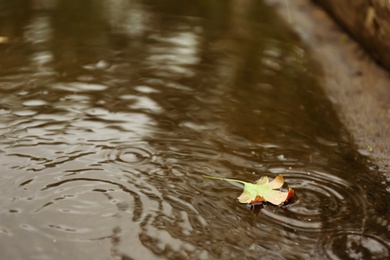 Autumn leaf in puddle on rainy day