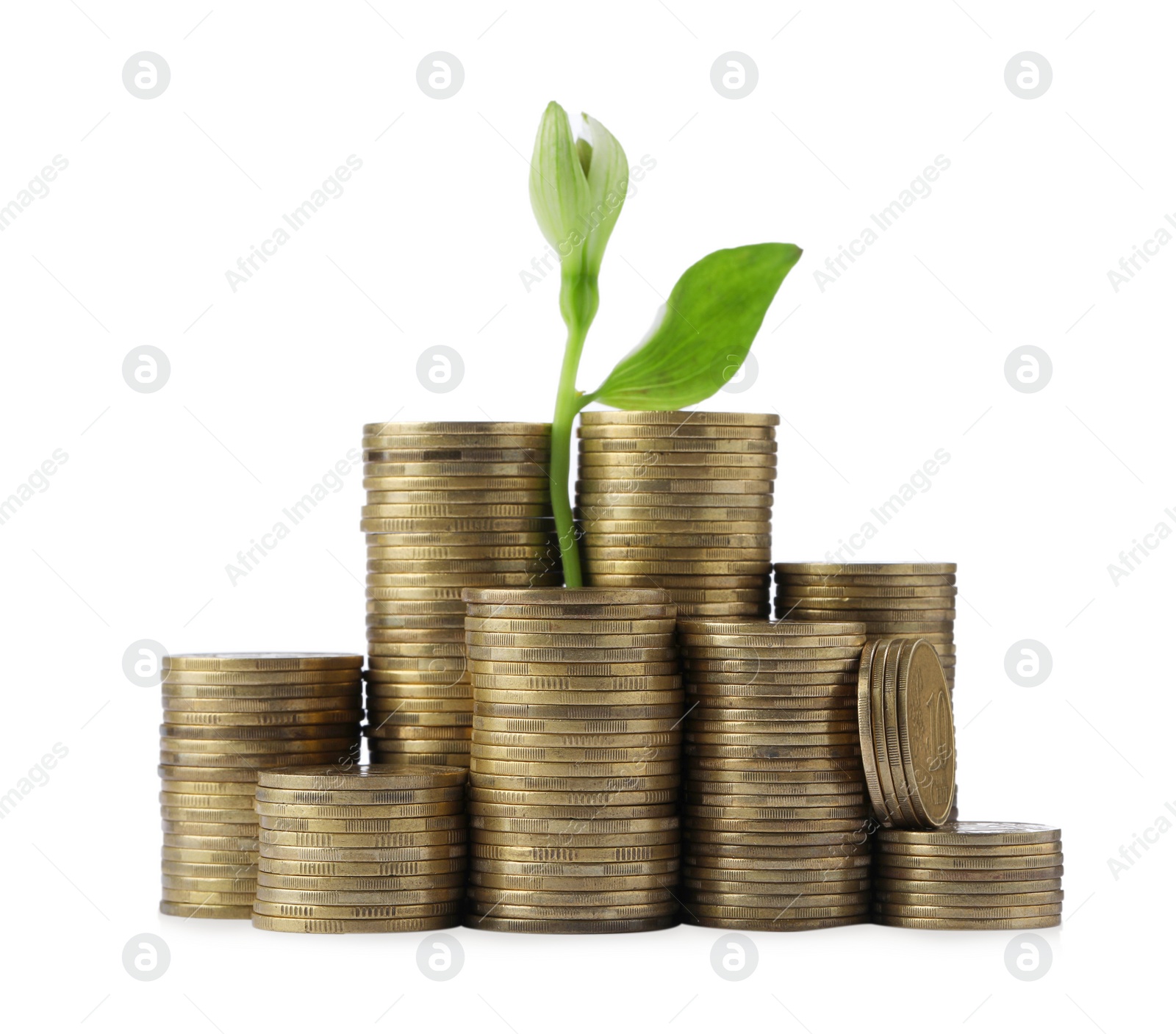 Photo of Stacks of coins and green plant on white background. Prosperous business