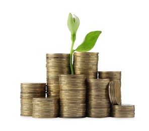 Photo of Stackscoins and green plant on white background. Prosperous business