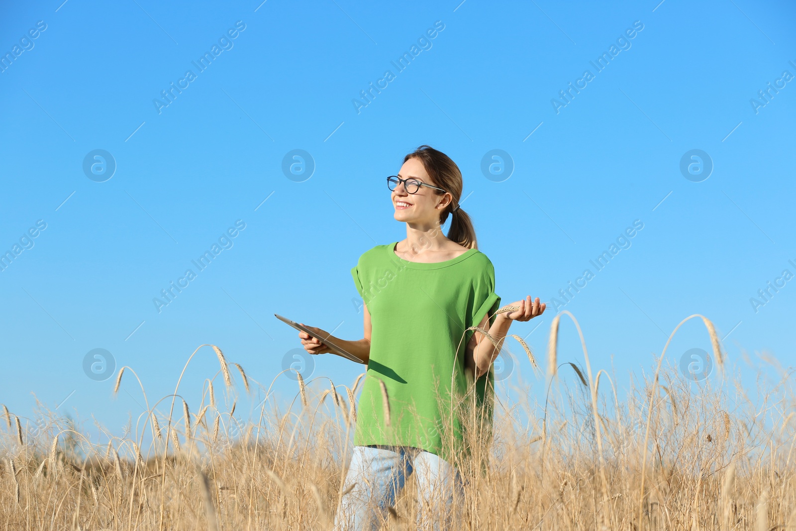 Photo of Agronomist with tablet in wheat field. Cereal grain crop