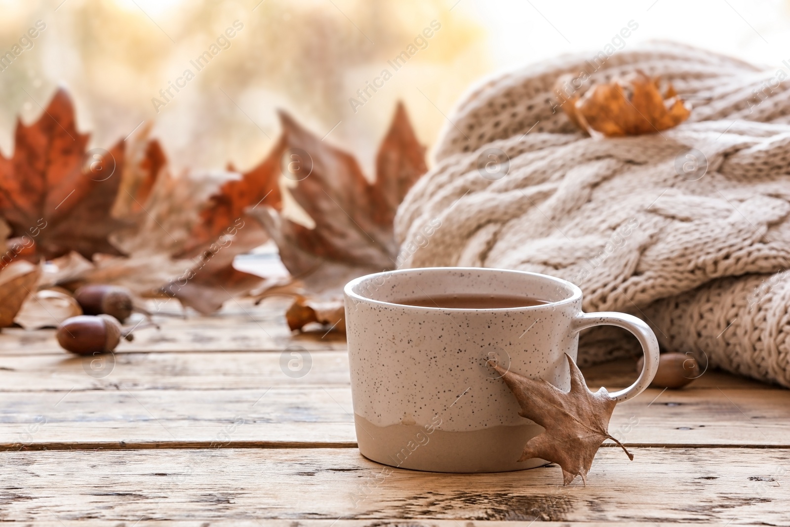 Photo of Composition with cup of hot cozy drink and autumn leaves on windowsill. Space for text