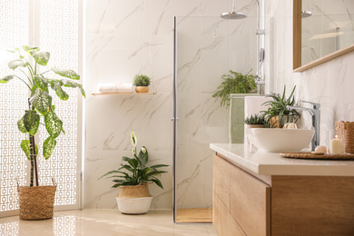 Stylish bathroom interior with countertop, shower stall and houseplants. Design idea