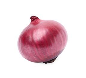 One fresh red onion on white background