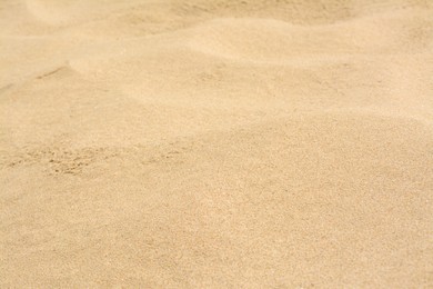 Texture of sandy beach as background, closeup