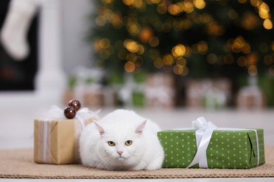Photo of Christmas atmosphere. Adorable cat lying between gift boxes on rug in cosy room. Space for text