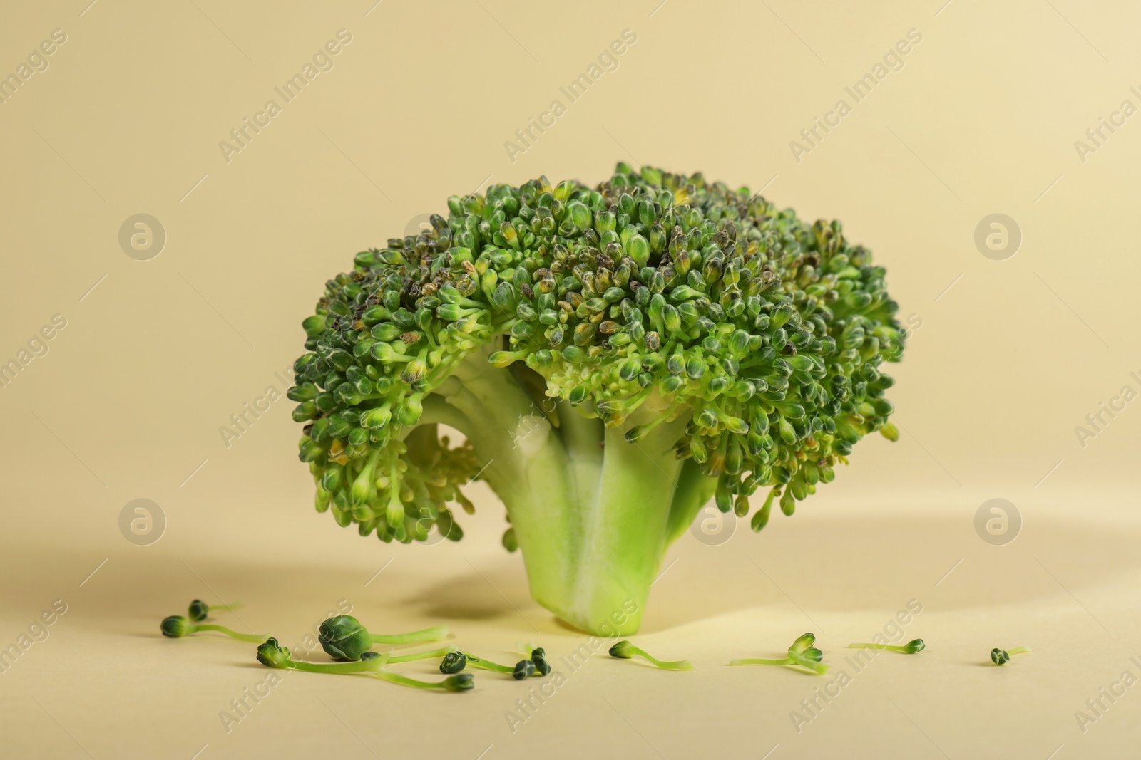 Photo of Fresh raw broccoli on beige background, closeup