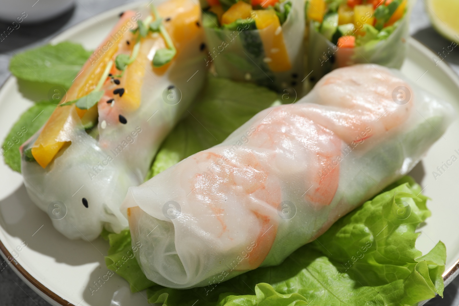 Photo of Tasty spring rolls and lettuce on plate, closeup