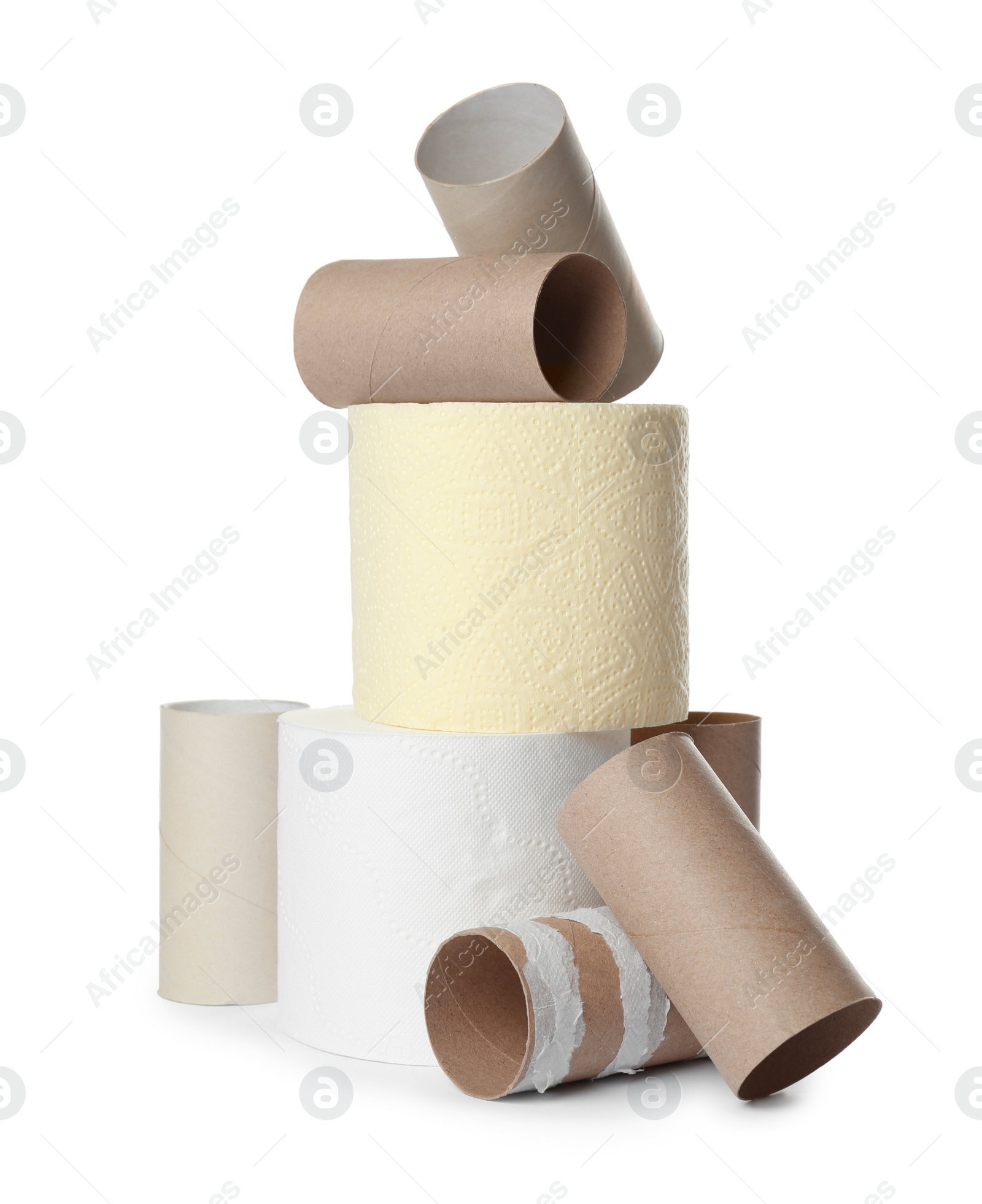 Photo of Full and empty toilet paper rolls on white background