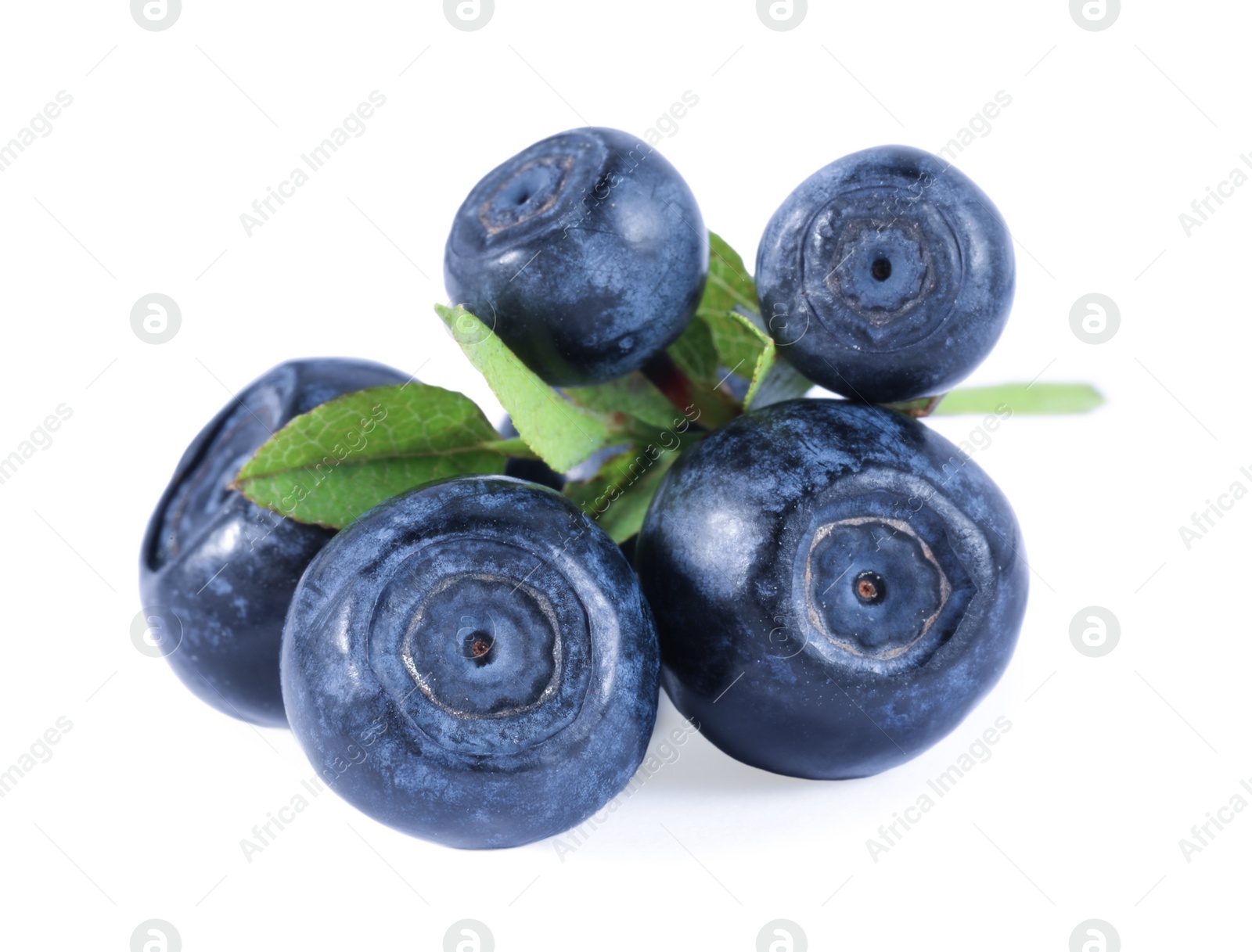 Photo of Delicious ripe bilberries and green leaves isolated on white