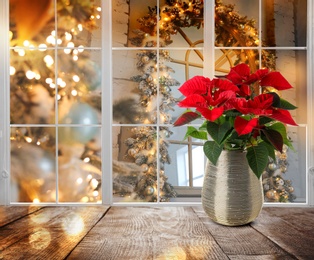 Image of Christmas traditional poinsettia flower on table near window, space for text