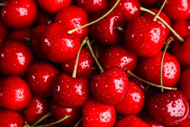 Delicious ripe sweet cherries with water drops as background, top view